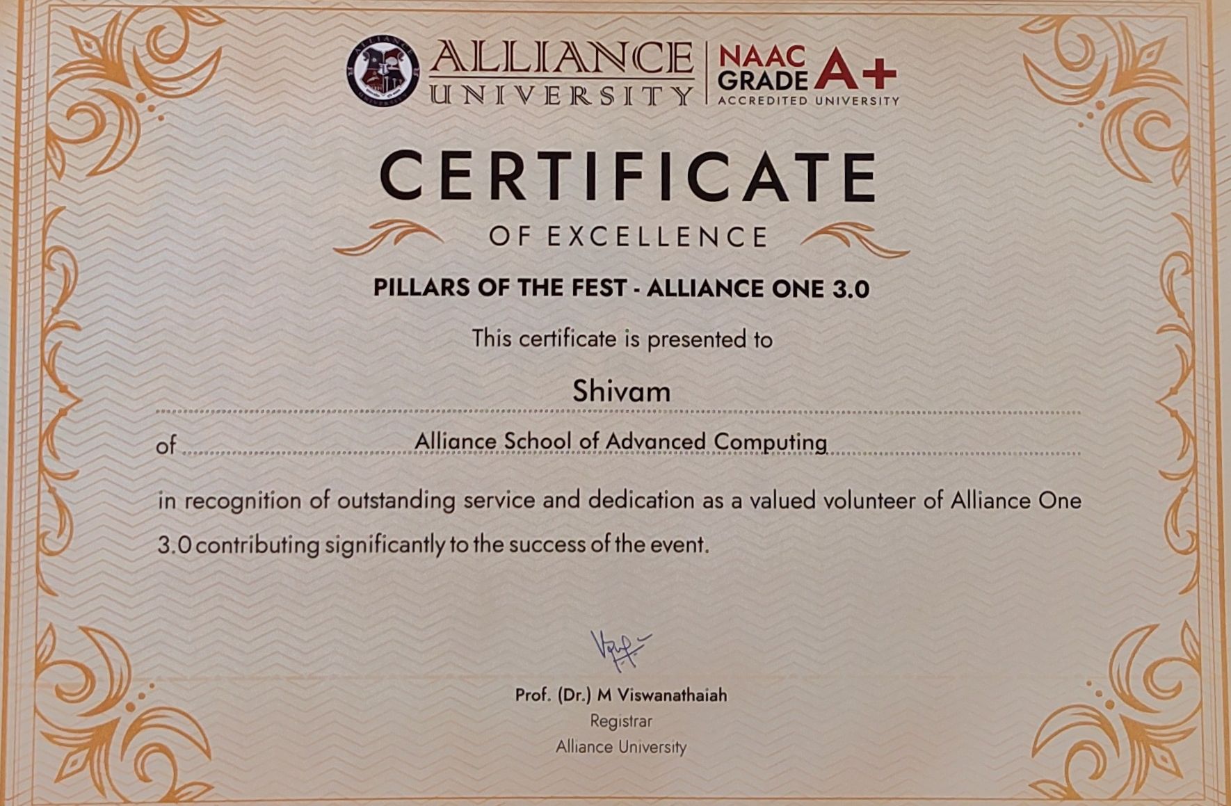 Pillars of the Fest certificate